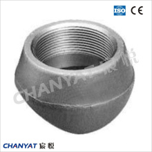 ASME, DIN, JIS, Mss, GOST Stainless Steel Branch Outlet Fittings